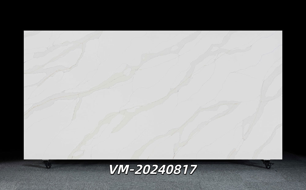 VM-20240817